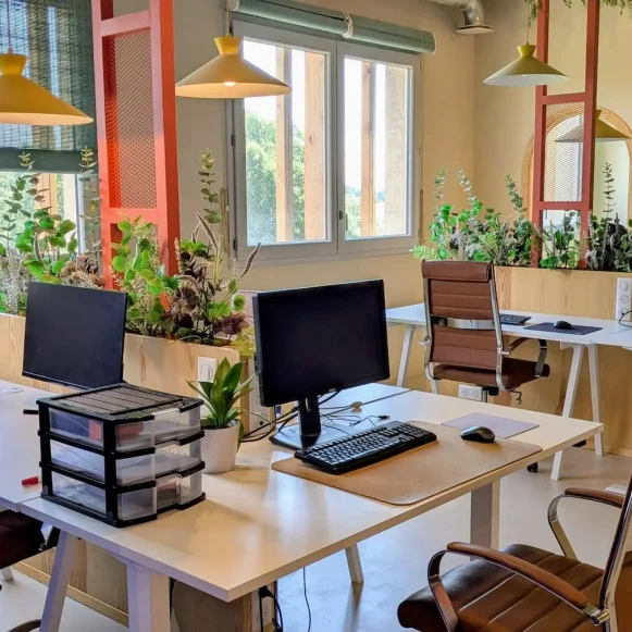 Open Space  5 postes Coworking Impasse des Dunes Bénesse-Maremne 40230 - photo 1