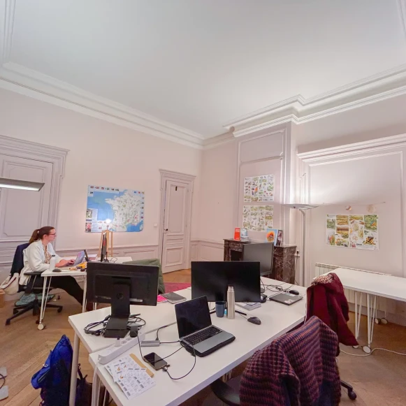 Espace indépendant 108 m² 8 postes Location bureau Place Bellecour Lyon 69002 - photo 1