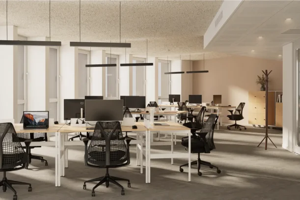 Bureau privé - 75002 - 55 postes - 13350€