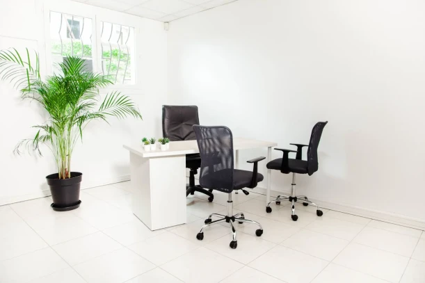 Bureau privé - 13002 - 2 postes - 470€