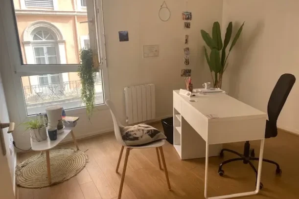 Bureau privé - 69001 - 1 poste - 350€