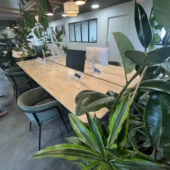 Bureau privé 14 m² 2 postes Coworking Impasse Edmond Audran Toulouse 31200 - photo 2