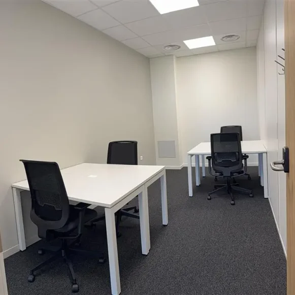 Bureau privé 13 m² 4 postes Location bureau Avenue François Pignier Bourg-en-Bresse 01000 - photo 2