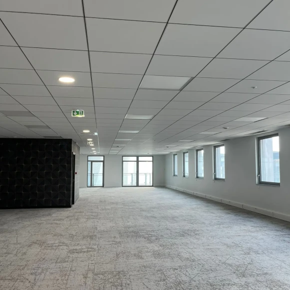 Bureau privé 576 m² 60 postes Location bureau Avenue Félix Faure Lyon 69003 - photo 6