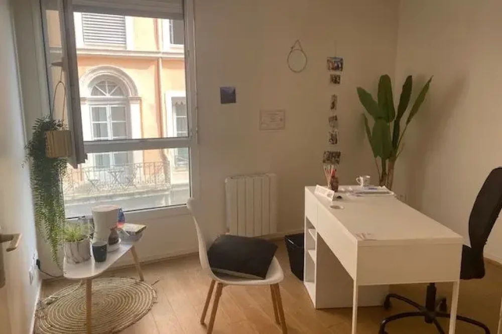 Bureau privé - 69001 - 1 poste - 350€