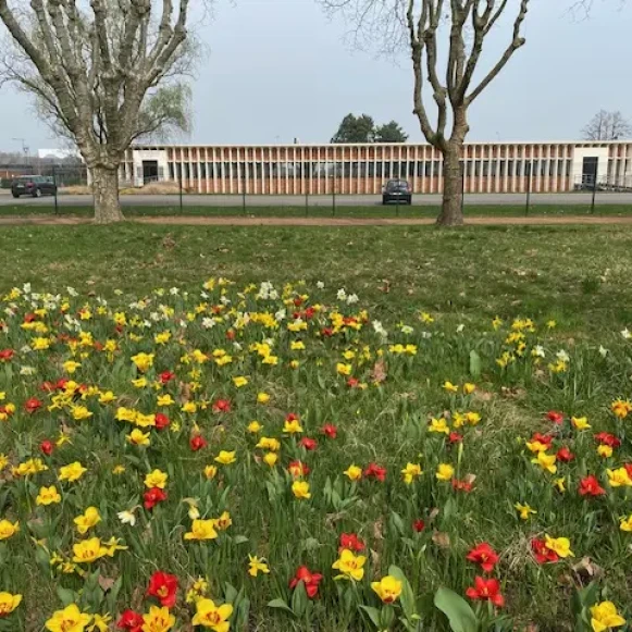 Espace indépendant 100 m² 15 postes Coworking Boulevard de Valmy Roanne 42300 - photo 9