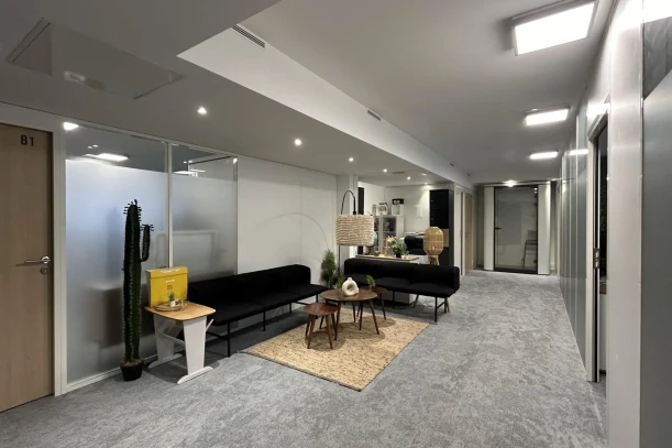 Bureau privé - 69006 - 15 postes - 5000€