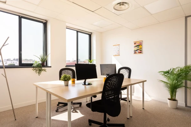 Bureau privé - 69100 - 3 postes - 1050€