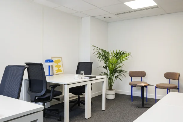 Bureau privé - 69125 - 5 postes - 1705€