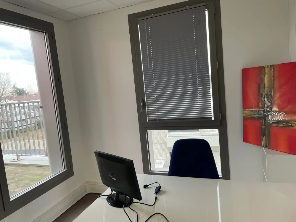 Bureau privé - 69340 - 1 poste - 290€