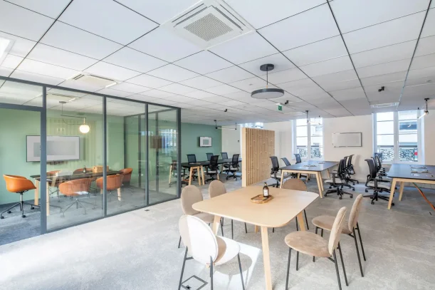 Espace indépendant - 75009 - 19 postes - 15000€