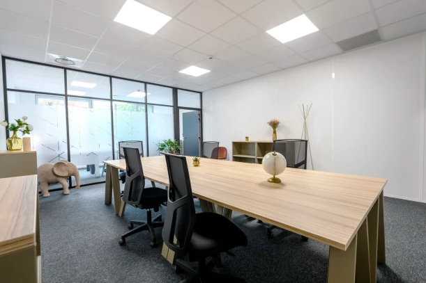 Bureau privé - 69791 - 8 postes - 1907€