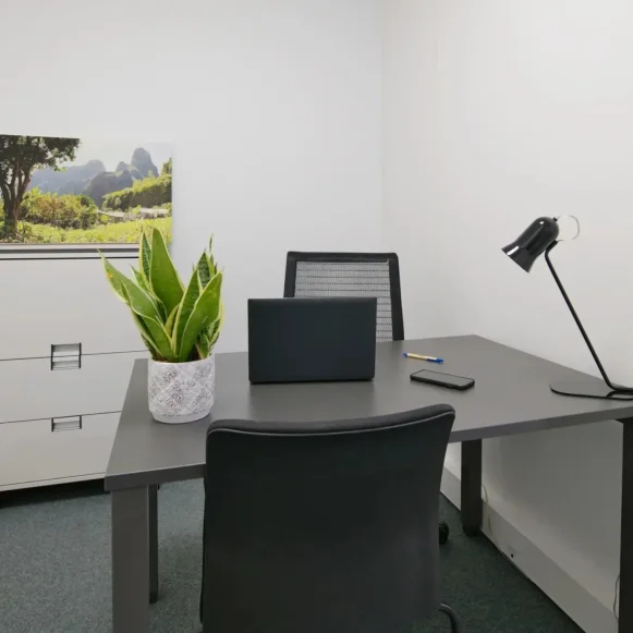 Bureau privé 23 m² 5 postes Coworking Allées Jean Jaurès Toulouse 31000 - photo 1