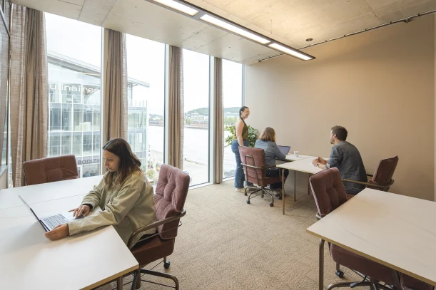 Bureau privé - 76100 - 10 postes - 2990€