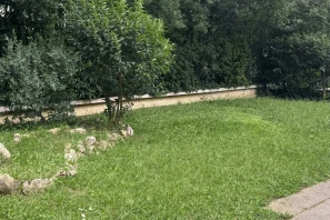 Open Space - 06400 - 5 postes - 750€