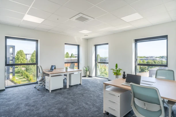 Bureau privé - 67300 - 6 postes - 1800€