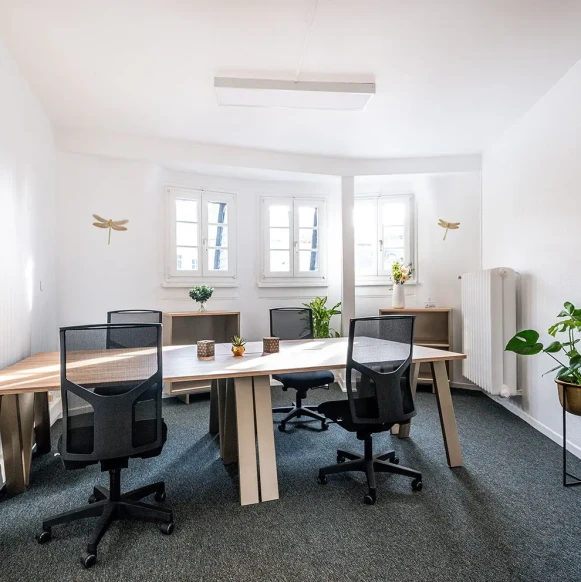 Bureau privé 18 m² 4 postes Coworking Rue Harelle Metz 57000 - photo 1