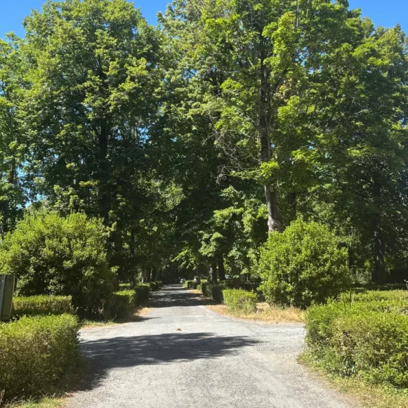 Open Space  4 postes Coworking Rue de la République Albi 81000 - photo 7
