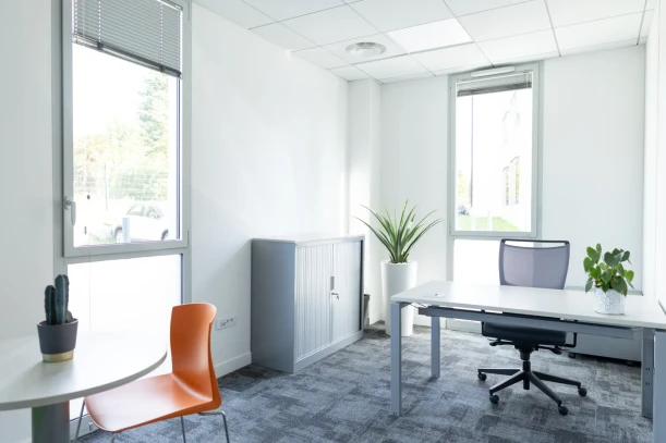 Bureau privé - 69370 - 2 postes - 900€