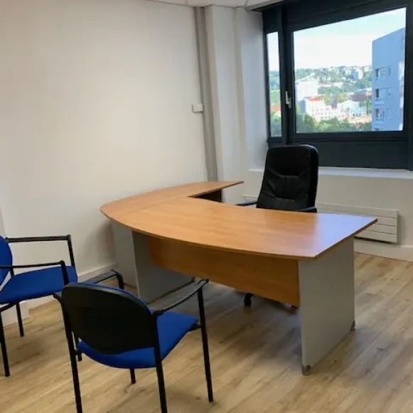 Bureau privé 15 m² 4 postes Coworking Avenue Leclerc Lyon 69007 - photo 4