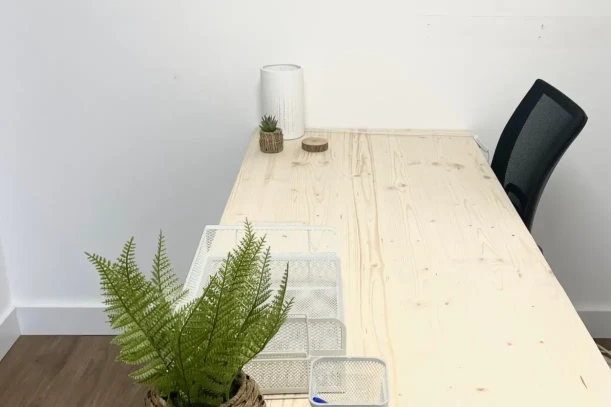 Bureau privé - 34160 - 1 poste - 245€