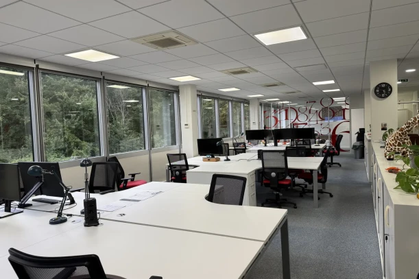 Open Space - 92360 - 6 postes - 350€