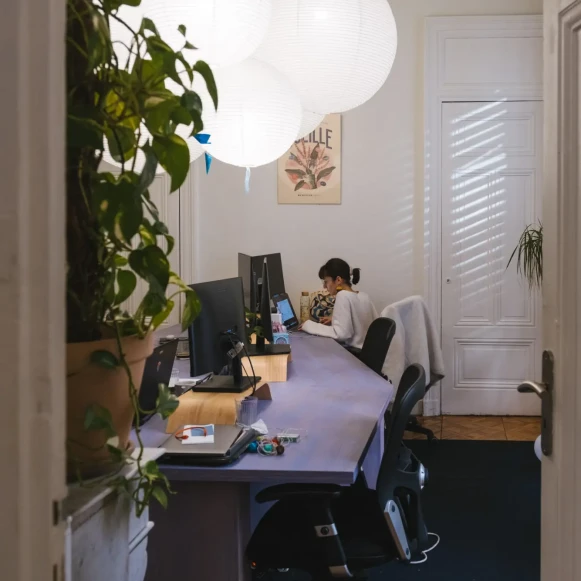 Bureau privé 18 m² 6 postes Location bureau Rue d'Algérie Lyon 69001 - photo 6