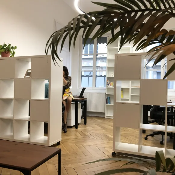 Bureau privé 12 m² 3 postes Location bureau Rue Franklin Lyon 69002 - photo 5