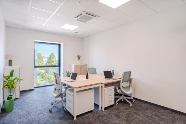 Bureau privé - 67300 - 3 postes - 1250€